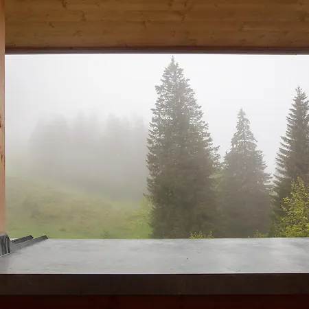 Haus Wiesenquelle * Feldberg (Baden-Wurttemberg)